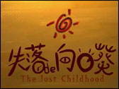 賽爾達中文版－失落的童年