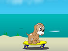 小狗滑滑板
