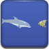 海豚奧運會