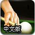 2010檯球決賽中文版